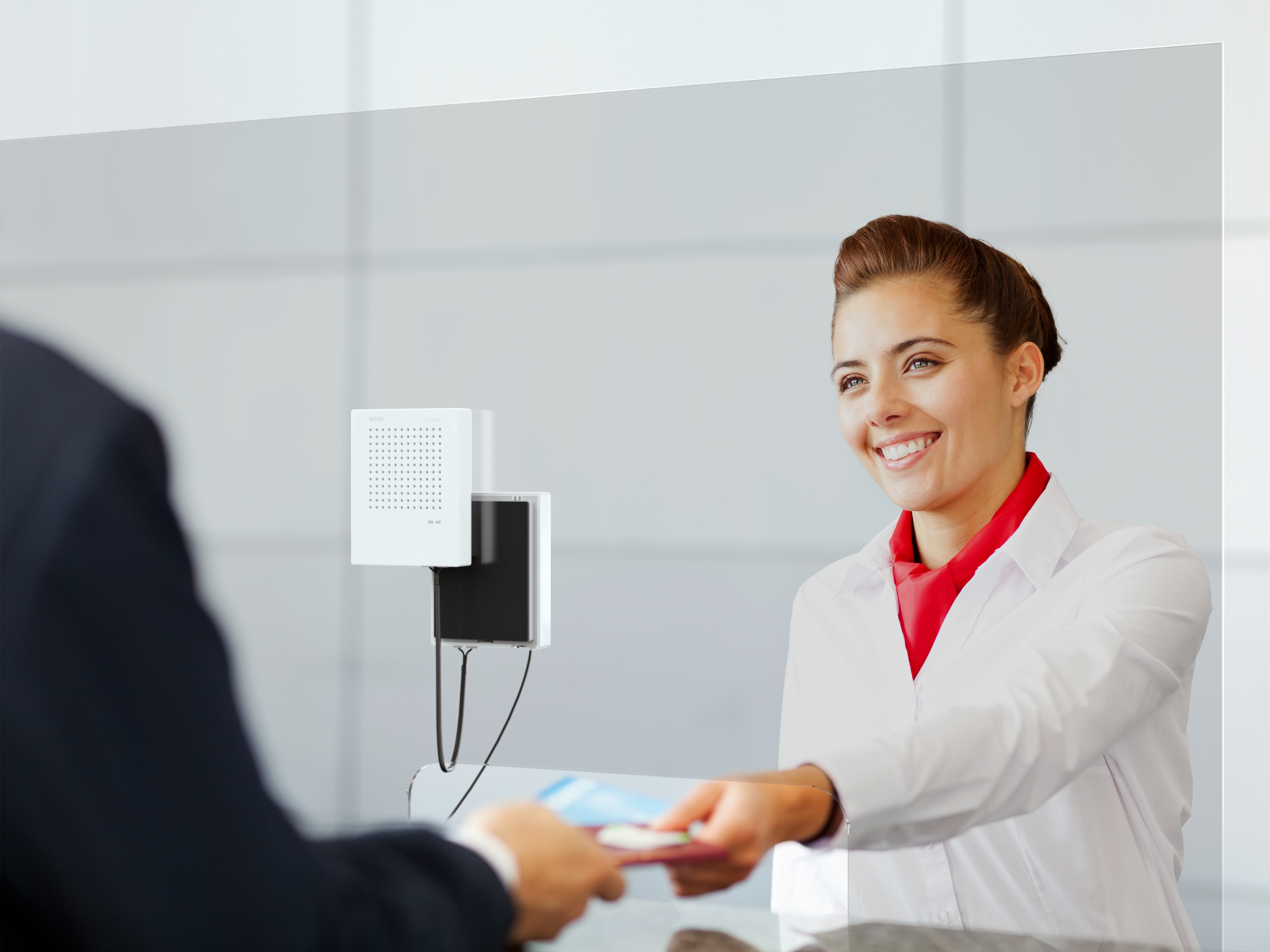WHD_VoiceBridge_Image-02
